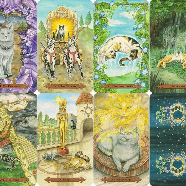 Mystical-Cats-Tarot-2-600×600