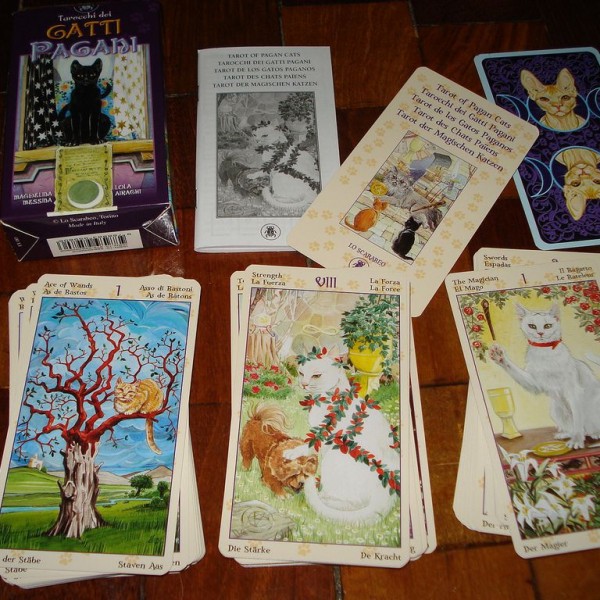 Tarot-of-Pagan-Cats-2-600×600