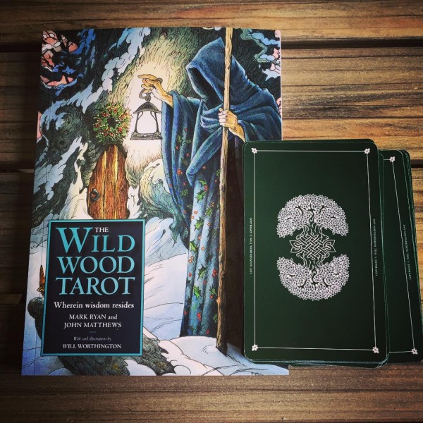 The-Wildwood-Tarot-5-600×600