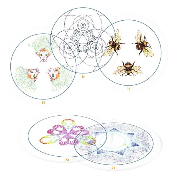 Transparent-Oracle-2