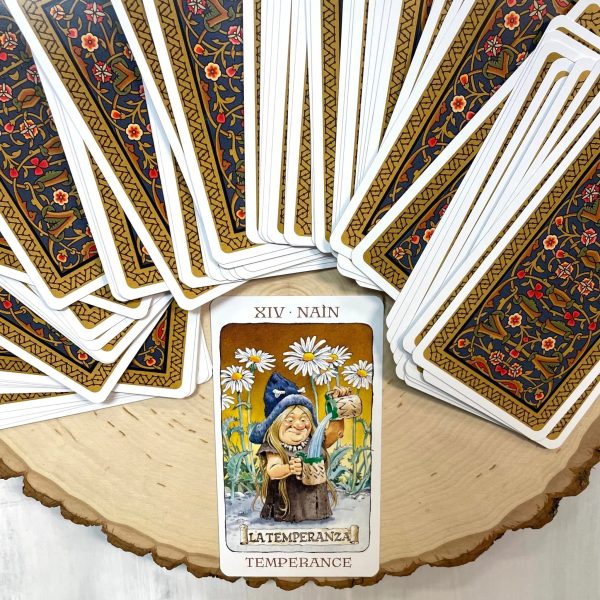 tarot-of-the-gnomes-by-antonio-lupatelli-7767094_11zon