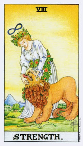 Strength Tarot Card – Yes or No?
