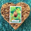 Wisdom-of-the-Oracle-Divination-Cards-4