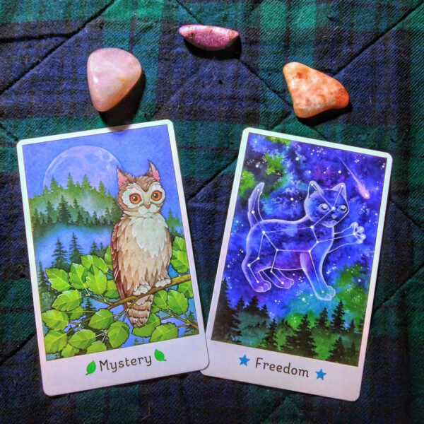 Affirmations of the Fairy Cats Deck 12