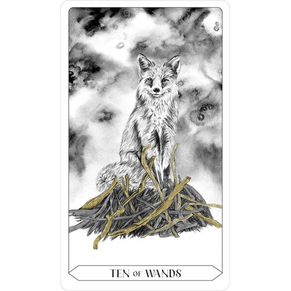 Lumina-Tarot-2