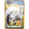 Angel-Reading-Cards-4