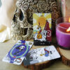 Diary-of-Skeleton-Tarot-3