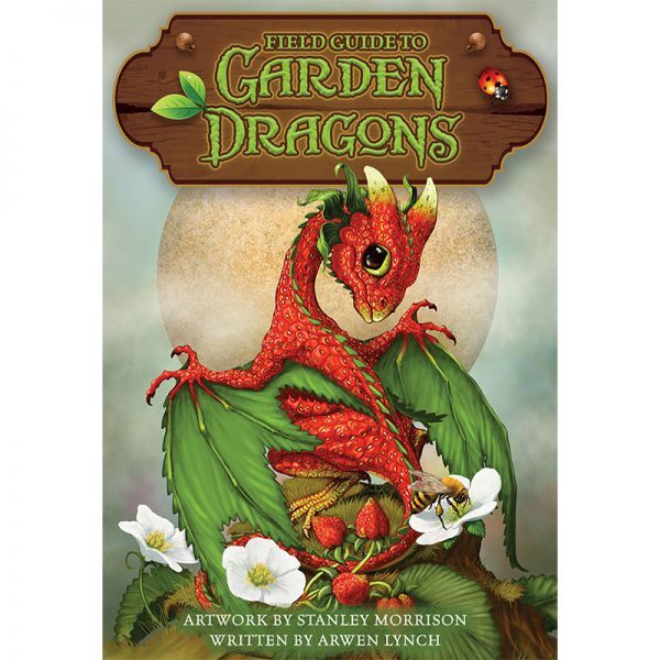 Field-Guide-To-Garden-Dragons-1-600×600