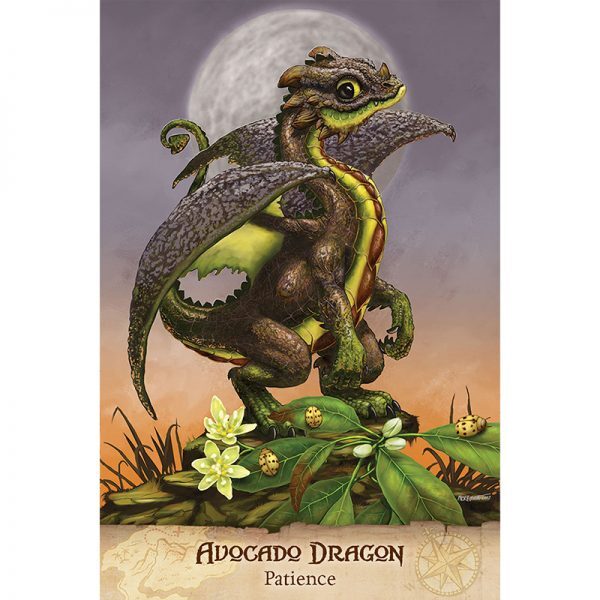 Field-Guide-To-Garden-Dragons-3-600×600