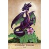 Field-Guide-To-Garden-Dragons-4-600×600