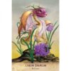 Field-Guide-To-Garden-Dragons-5-600×600