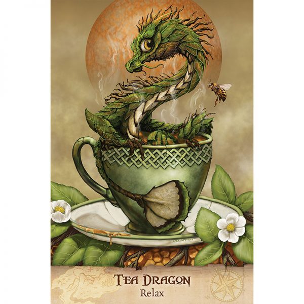 Field-Guide-To-Garden-Dragons-6-600×600