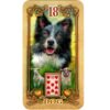 Lustrous-Lenormand-2-600×600