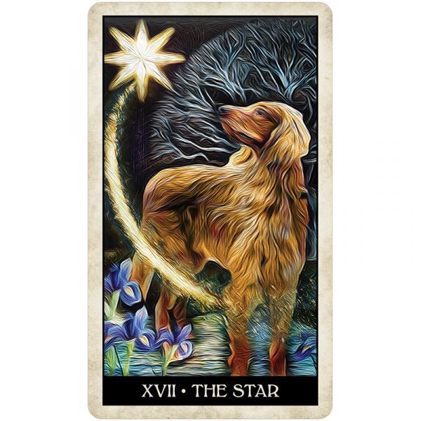 Wise-Dog-Tarot-6-600×600