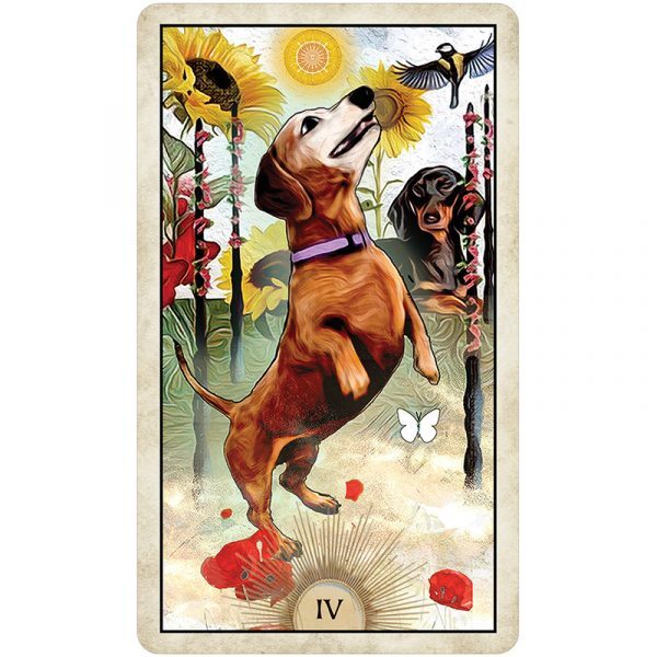 Wise-Dog-Tarot-9-600×600