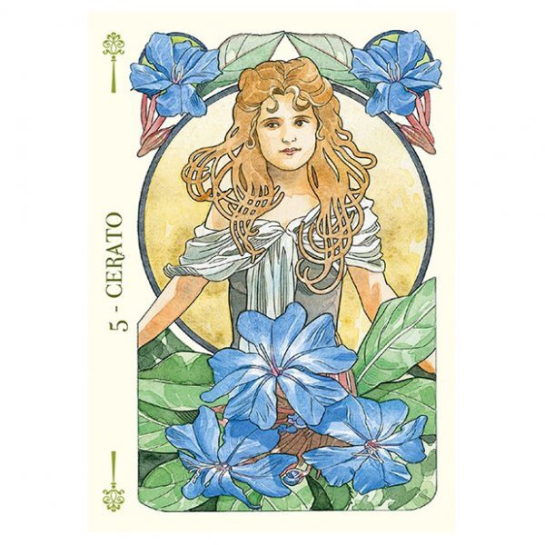 Flower-Oracle-3-600×600