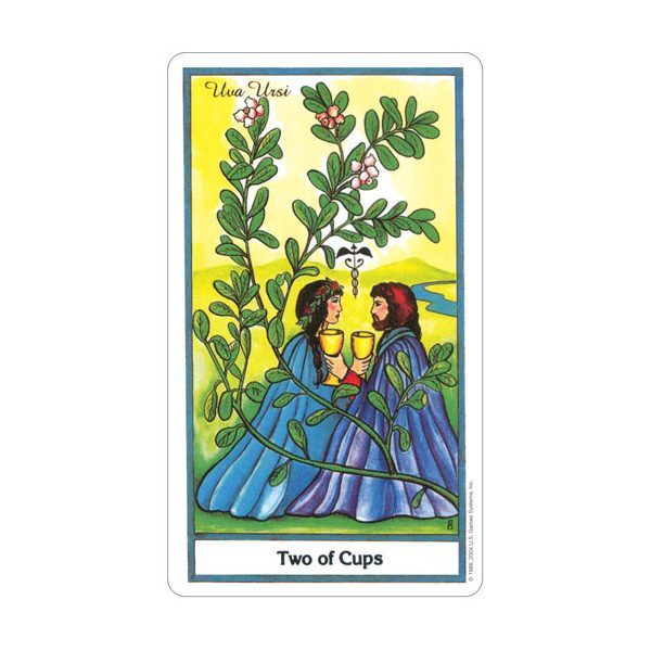 Herbal-Tarot-3-600×600