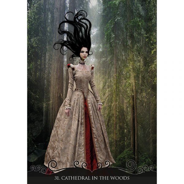 Journey-of-a-Lonely-Soul-Oracle-6-600×600