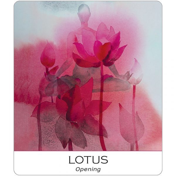 Nature-and-Soul-Yoga-Wisdom-Cards-7-600×600