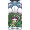 Tarot-of-a-Moon-Garden-Borderless-Deck-and-Bookset-4-600×600