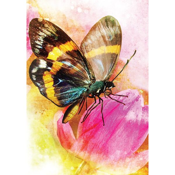 Butterfly-Transformations-Cards-2-600×600