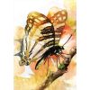 Butterfly-Transformations-Cards-6-600×600