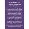 Earth-Warriors-Oracle-Pocket-Edition-3-600×600
