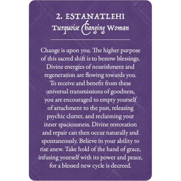 Earth-Warriors-Oracle-Pocket-Edition-3-600×600