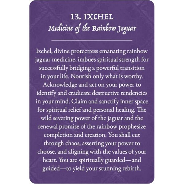 Earth-Warriors-Oracle-Pocket-Edition-7-600×600