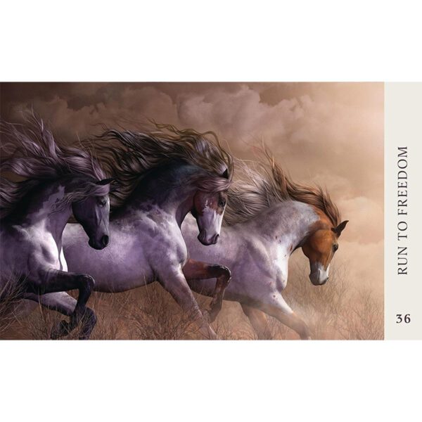 Horse-Wisdom-Oracle-3-600×600