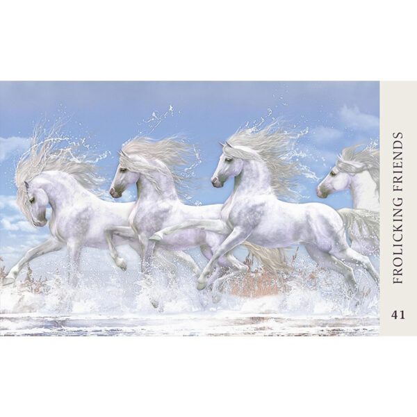 Horse-Wisdom-Oracle-6-600×600