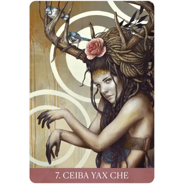 Medicine-Heart-Oracle-3-600×600