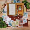 Green-Glyphs-Box-Set-8