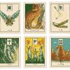 Green-Glyphs-Runes-3-600×600