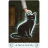 Cat-Mythos-and-Magick-Oracle-6-600×600