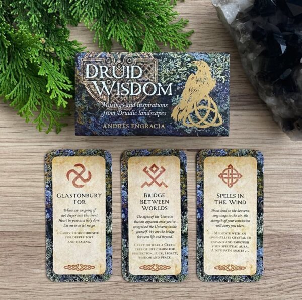 Druid-Wisdom-Cards-11-600×595