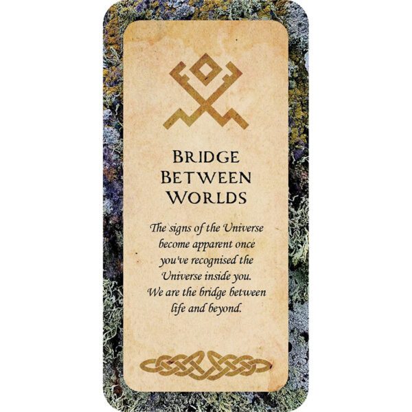 Druid-Wisdom-Cards-5-600×600