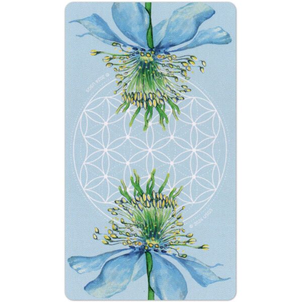 Black-Seed-Tarot-11-600×600