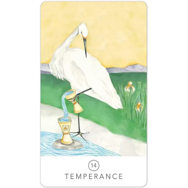 Black-Seed-Tarot-4-600×600