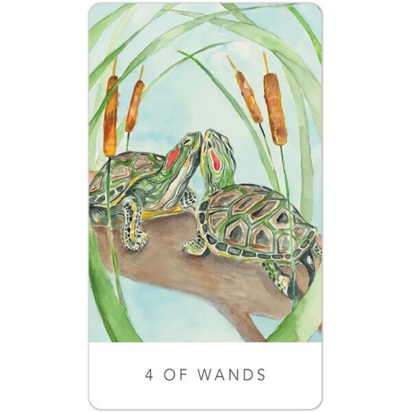 Black-Seed-Tarot-5-600×600