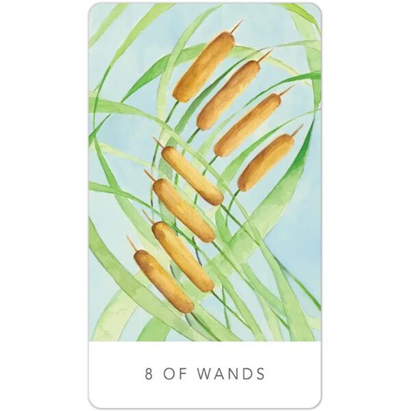 Black-Seed-Tarot-6-600×600