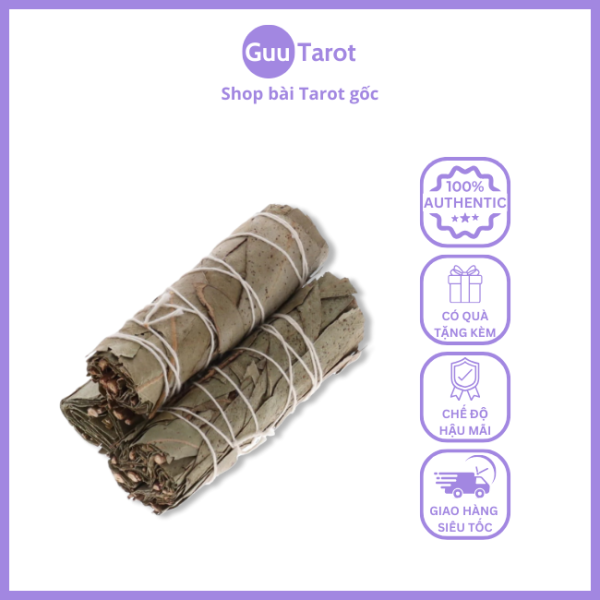 Guu Tarot (19)