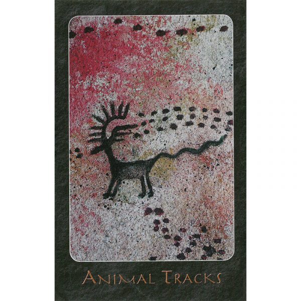 A-Shaman-Oracle-2-600×600