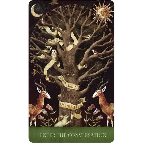 Dream-Song-Oracle-2-600×600