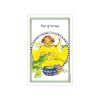 Medicine-Woman-Tarot-5-600×600
