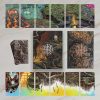 Oracle-of-Many-Paths-2