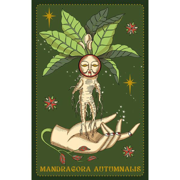 Herbarium-Oracle-Cards-6-600×600