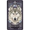 Tarot-Familiars-5-600×600