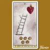 Tarot-de-Luz-6-600×600