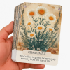 herbalwisdomoracle (5)